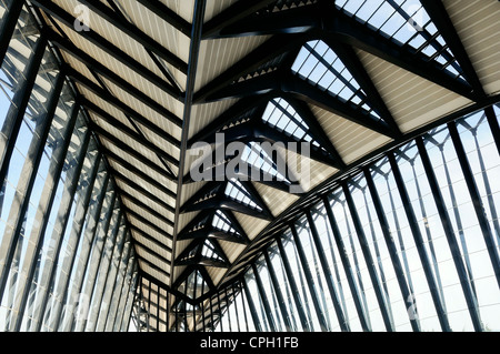 Metall-moderne Architektur in Lyon Flughafen Stockfoto