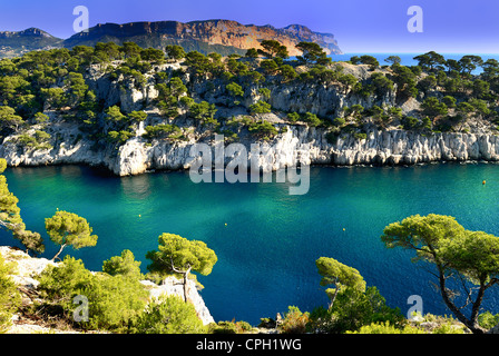 Calanques von Port-Pin in Cassis in Frankreich in der Nähe von Marseille Stockfoto