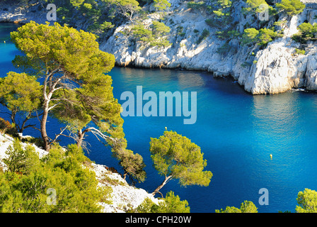 Calanques von Port-Pin in Cassis in Frankreich in der Nähe von Marseille Stockfoto