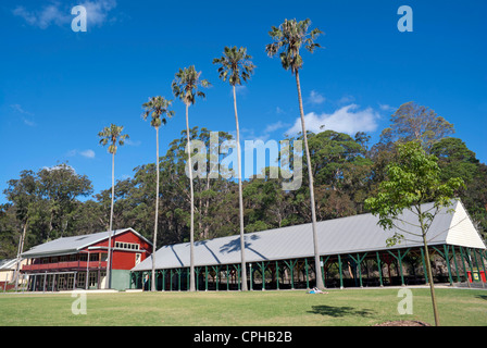 Eiserne Bark flach Picknick-Bereich und Audley Tanzsaal, in der Royal National Park, südlich von Sydney Stockfoto