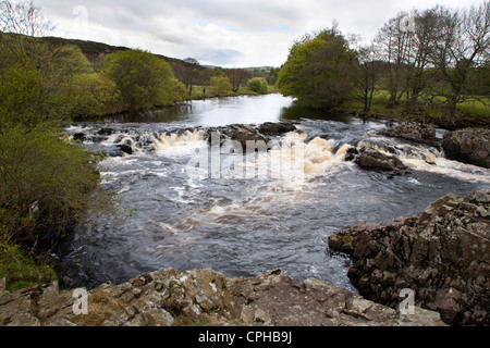 Flusses Tees zwingen zwischen hohen und niedrigen oberen Teesdale County Durham England Stockfoto