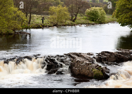 Flusses Tees zwingen zwischen hohen und niedrigen oberen Teesdale County Durham England Stockfoto