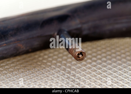 Schrader-Ventil auf Fahrradschlauch. Stockfoto