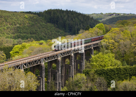 Die Cornishman dämpfen über St Pinnock Viadukt Stockfoto