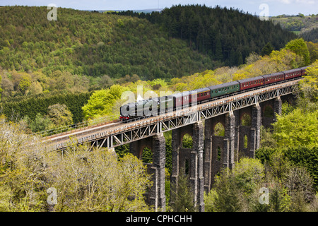 Die Cornishman dämpfen über St Pinnock Viadukt Stockfoto