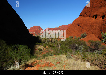 Tal des Windes, Kata Tjuta, Olgas, Australien, Northern Territory, Rote Kliff, Einsamkeit, Landschaft, Heilige Land, Stockfoto