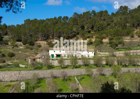 Mallorca, Mallorca, Balearen, Insel, Insel, Inseln, Inseln, Spanien, Spanisch, Europa, europäische, im Freien, außerhalb Stockfoto