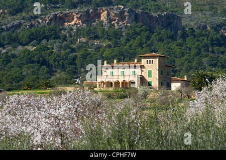 Mallorca, Mallorca, Balearen, Insel, Insel, Inseln, Inseln, Spanien, Spanisch, Europa, europäische, im Freien, außerhalb Stockfoto