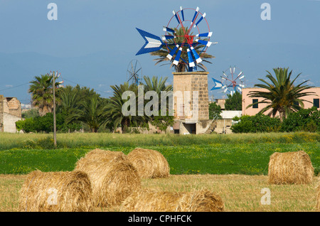 Mallorca, Mallorca, Balearen, Insel, Insel, Inseln, Inseln, Spanien, Spanisch, Europa, europäische, im Freien, außerhalb Stockfoto