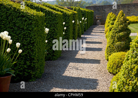 Englischer Garten Schotterweg im Herbst Stockfoto, Bild: 278431244 - Alamy