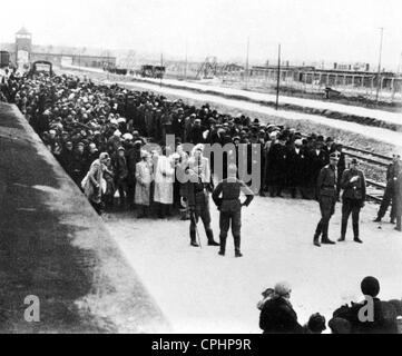 Ankunft von Juden auf der "Rampe" im KZ Auschwitz 1940-44 (s/w Foto) Stockfoto