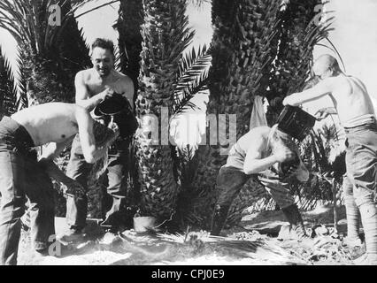 Deutsche Soldaten waschen sich in Afrika, 1942 Stockfoto