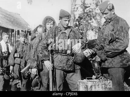 Belgische Soldaten der Waffen-SS in Russland 1942 Stockfoto