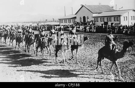 Kamel Fahrer der Schutztruppe in Deutsch-Südwestafrika, 1913 Stockfoto