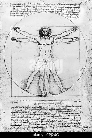 Zeichnung von Leonardo da Vinci Stockfoto