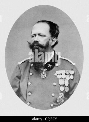 Viktor Emmanuel II., um 1870 Stockfoto