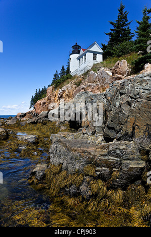 BASS HARBOR - 7. AUGUST: Bass Harbor Head Lighthouse mit blauem Himmel in Maine am 7. August 2010 gesehen. Stockfoto