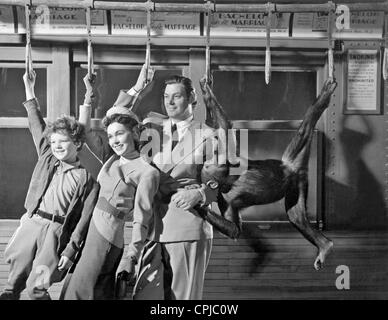 Johnny Sheffield, Maureen O'Sullivan und Johnny Weissmüller in "Tarzans New York Adventure", 1942 Stockfoto