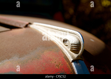 Amerikanische Oldtimer aus der Mitte des Jahrhunderts unter anderem Ford, Dodge, Buick, Chevrolet, International Diamond. Stockfoto