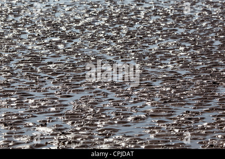 nassen Sand Weston super Mare Stockfoto