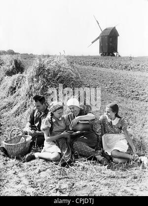 Mädchen des BDM bei der Ernte während des Krieges, 1942 Stockfoto