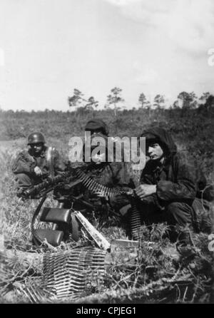 Flämische Soldaten der Waffen-SS an der Ostfront, 1941 Stockfoto