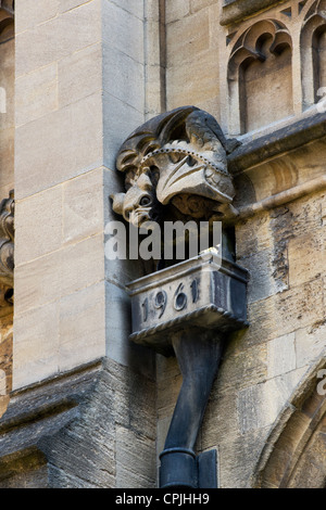 Drache / Schlange Steinbildhauen Wasserspeier und Fallrohr, Universität Oxford, England Stockfoto