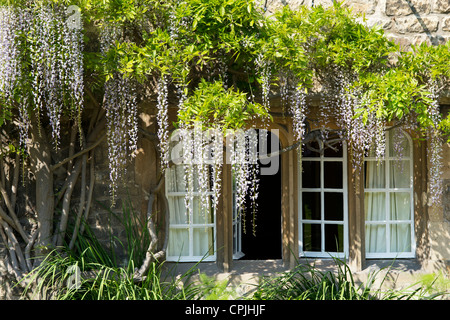 Jesus College Oxford University, Schulleiter Unterkünfte. Oxfordshire, England Stockfoto