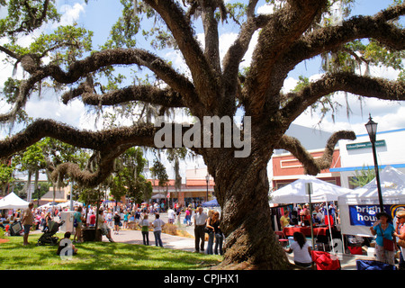 Florida Hernando County, Brooksville, Florida Blueberry Festival, Veranstaltung, Main Street, Live-Eiche, spanisches Moos, Besucher reisen Reise touristischer Tourismus Stockfoto