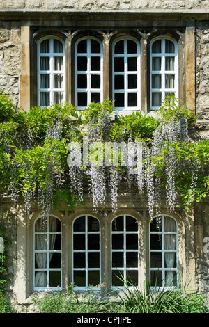 Jesus College Oxford University, Schulleiter Unterkünfte. Oxfordshire-England Stockfoto