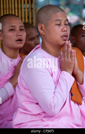 Myanmar, Burma. Shwedagon-Pagode, Yangon, Rangun. Buddhistische Nonnen zu beten. Stockfoto