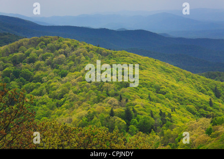 High Knob Trail, auf Feuerturm im George Washington National Forest in der Nähe von Rawley Springs, Virginia, USA Stockfoto