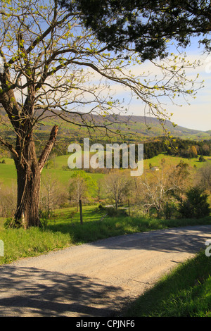 Landstraße durch Ackerland in der Nähe von Zack, Shenandoah Valley, Virginia, USA Stockfoto
