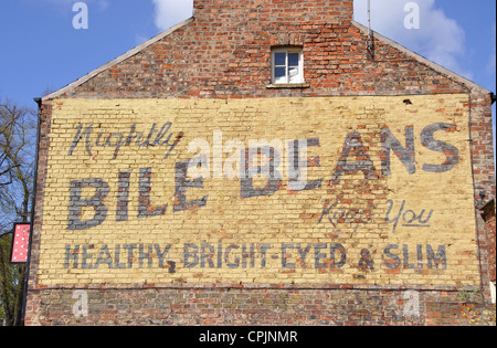 Alten Galle Bohnen Anzeige auf gestrichenen Wand, Herrn Bürgermeister gehen, York, England, UK Stockfoto