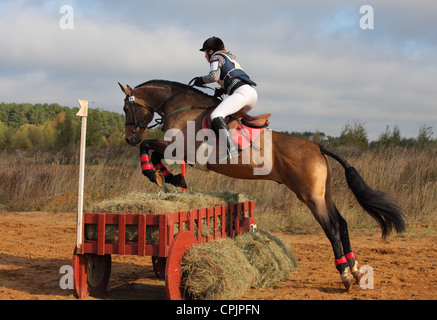 Pferd Reiter springt einen Zaun während eines dreitägigen Vielseitigkeit Stockfoto