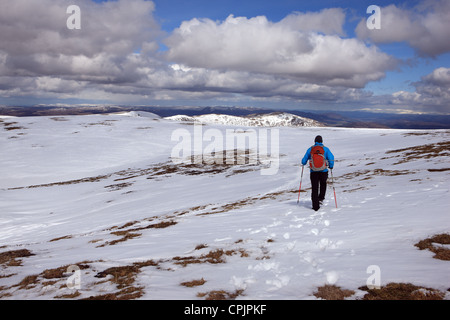 Walker auf die verschneiten Gipfel Plateau von Creag Meagaidh mit dem Grat des Stob Poite Coire Ardair und Carn Liath im Hintergrund Stockfoto