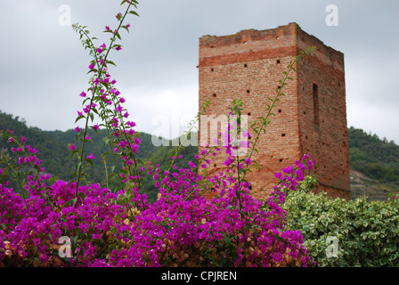 Mittelalterlichen Turm und Bougainvillea, Noli Dorf, Ligurien, Italien Stockfoto