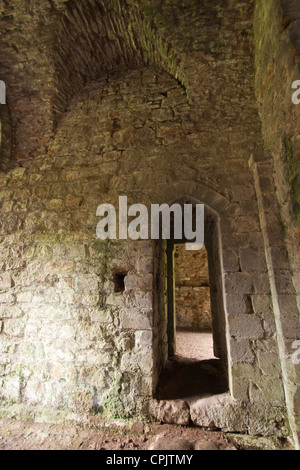 Ein Blick auf Lilleshall Abbey, Shropshire, UK. Die Ruinen des Augustiner Abtei aus dem 12. Jahrhundert. Stockfoto