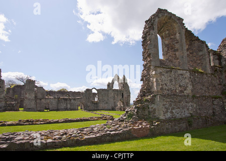 Ein Blick auf Haughmond Abbey, Shropshire, UK. Die Ruinen einer Augustiner-Abtei. Stockfoto
