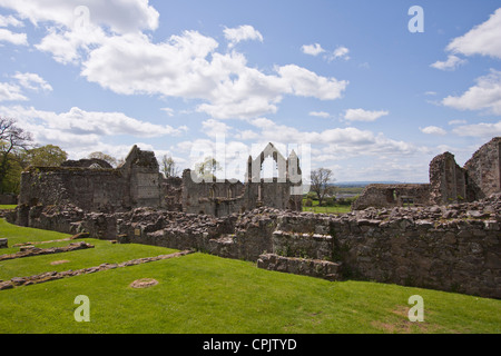 Ein Blick auf Haughmond Abbey, Shropshire, UK. Die Ruinen einer Augustiner-Abtei. Stockfoto