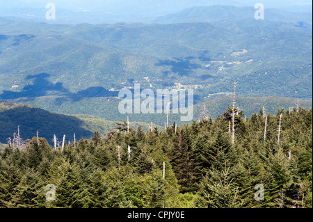 Ansicht der Blue Ridge Mountains, North Carolina, von der Spitze des Mount Mitchell. Teil des Blue Ridge Parkway ist sichtbar. Stockfoto