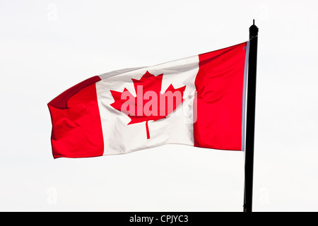 Kanadische Maple Leaf Flagge weht im Wind am Cruise Ship Terminal-Victoria, Vancouver Island, British Columbia, Kanada. Stockfoto