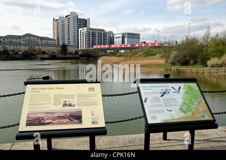 East India Dock Becken nun eine urban Wildlife reserve interpretativen Bretter in Forground und DLR Zug Kreuzung Leamouth Peninsular Stockfoto