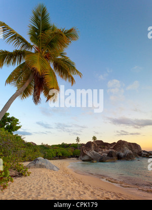 Virgin Gorda, Britische Jungferninseln, Karibik Palme lehnt sich über den sandigen, leeren Strand bei der Bäder-Nationalpark in der Abenddämmerung. Stockfoto