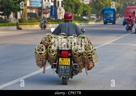 Motorrad mit Ferkel in Korb, Yangshuo, Guangxi, China Stockfoto