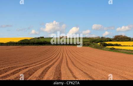 Landwirtschaftliche Flächen unterhalb der Kapelle Bucht Fort in Pembrokeshire Stockfoto