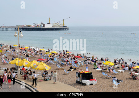 Brighton Seafront an einem Sommernachmittag mit Pier und den Menschen Sonnenbaden am Strand Stockfoto