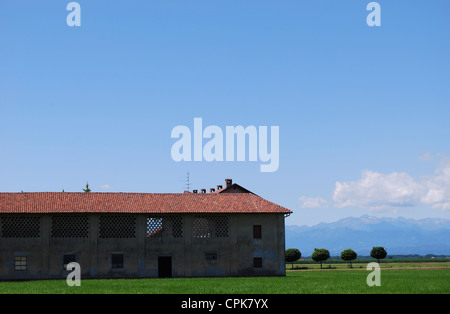 Bauernhaus und flachen Ackerland im Sommer Alpen Berge im Hintergrund, Poebene, Piemont, Italien Stockfoto