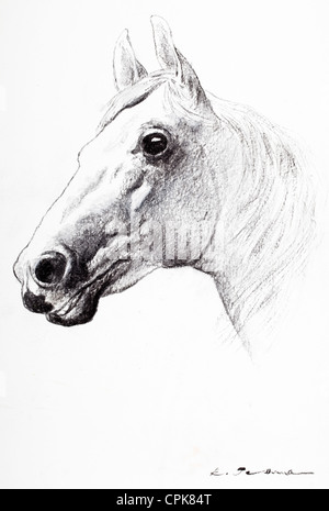 Pferd-Porträt - Kohle auf Papier von Kurt Tessmann Stockfoto