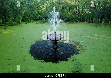 Brunnen im Natur-Becken in der Nähe von Raifsky Bogoroditsky Kloster Stockfoto